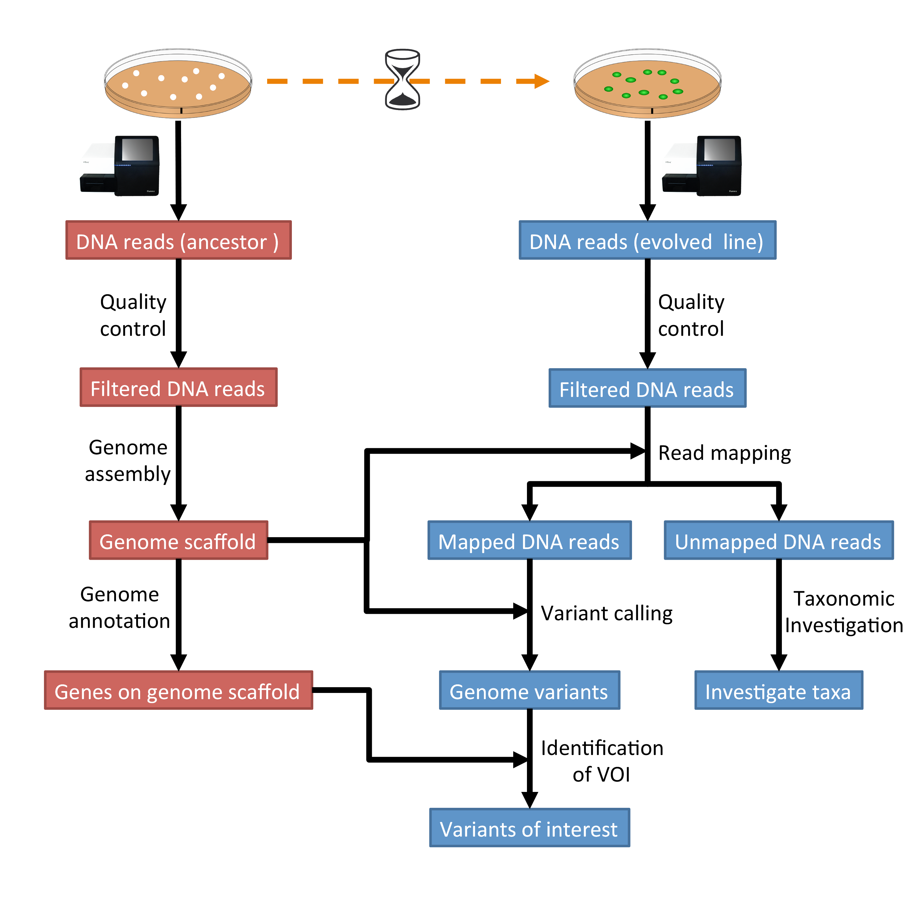 _images/workflow.png