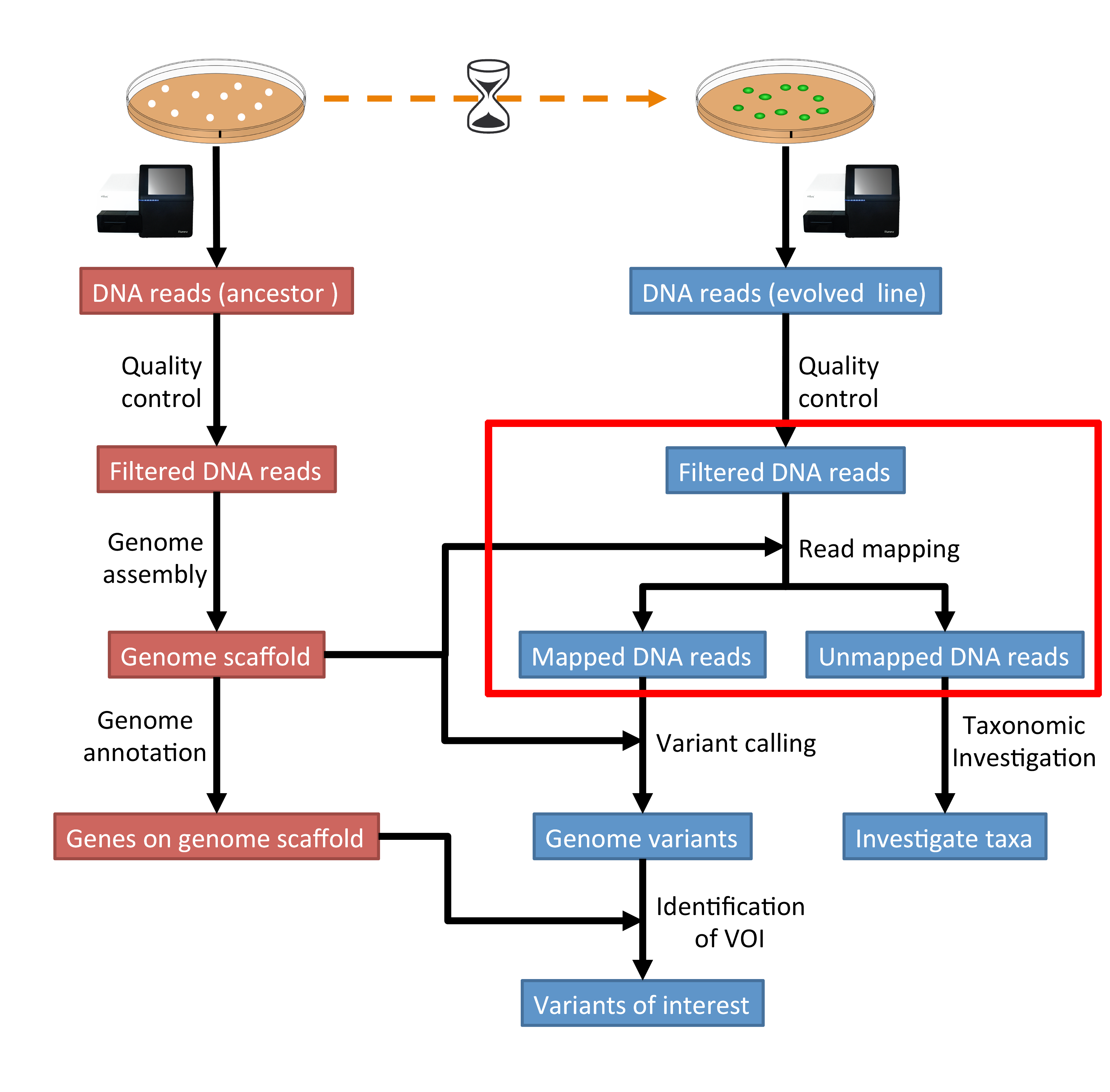 ../_images/workflow3.png