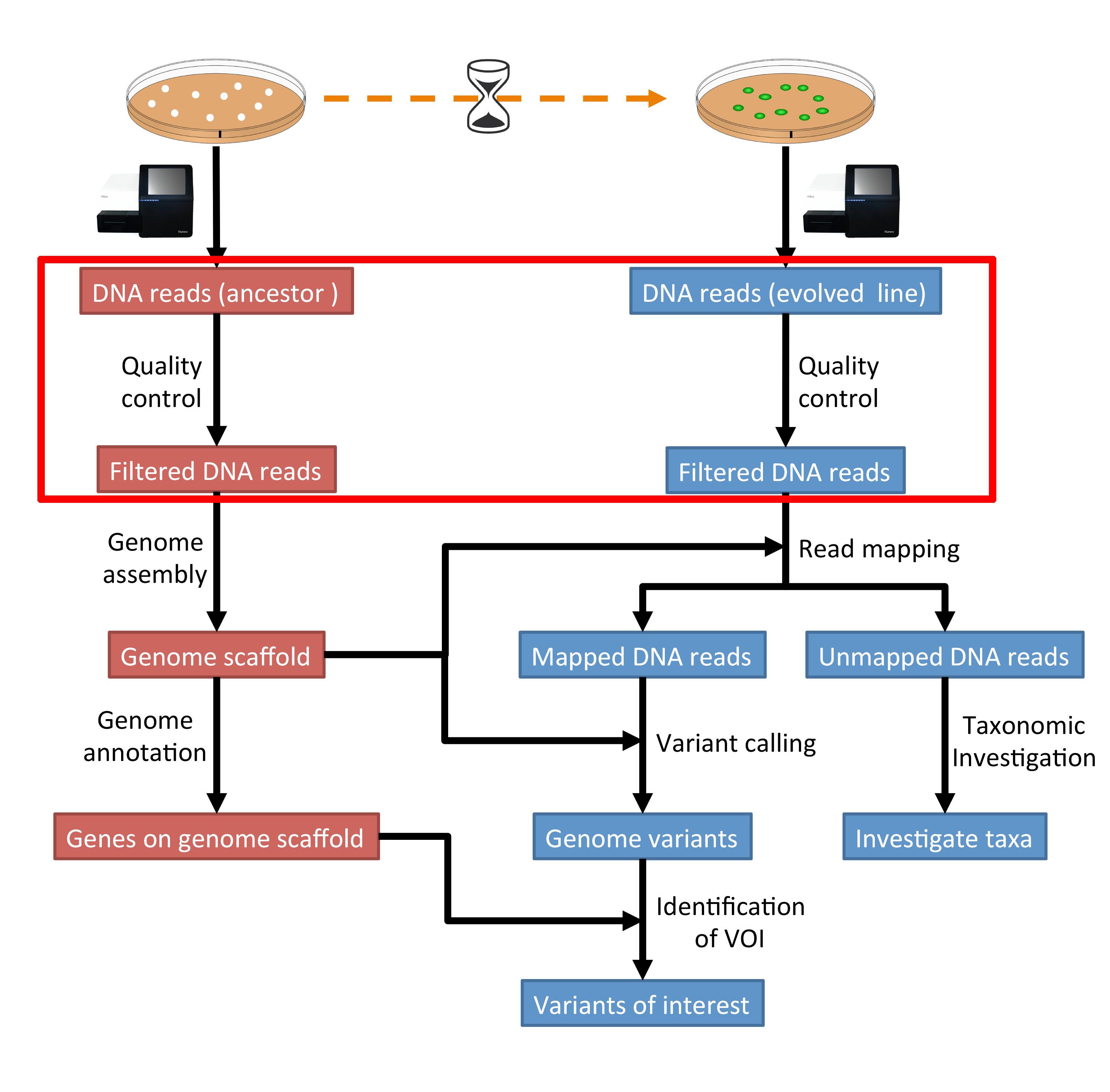 ../_images/workflow4.png