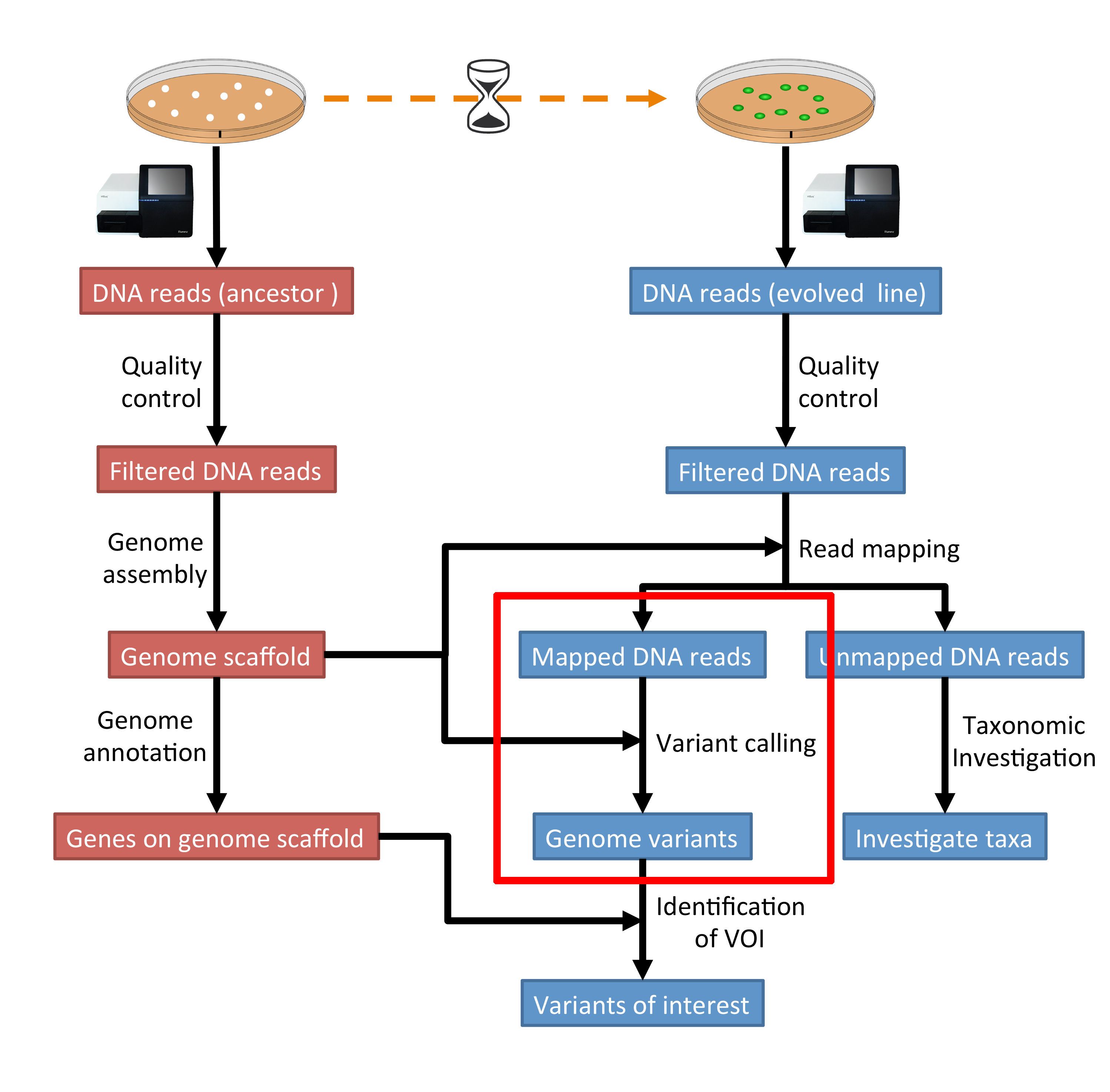 ../_images/workflow6.png